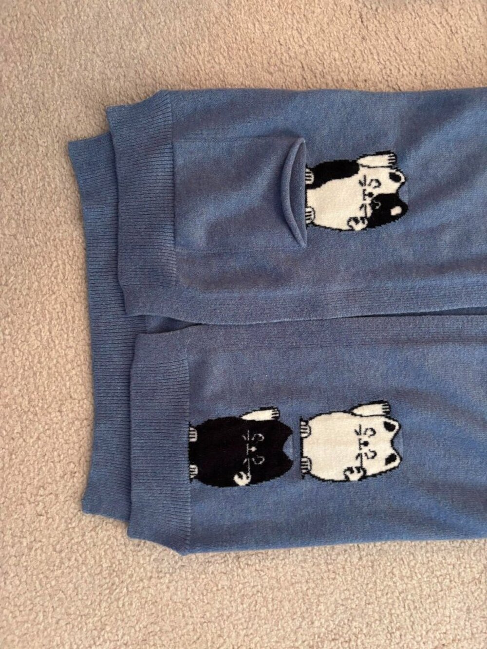 Blue Cat Pocket Hooded Cardigan Sweater Kawaii Cottagecore Cat Lover Size M-L - Picture 3 of 7